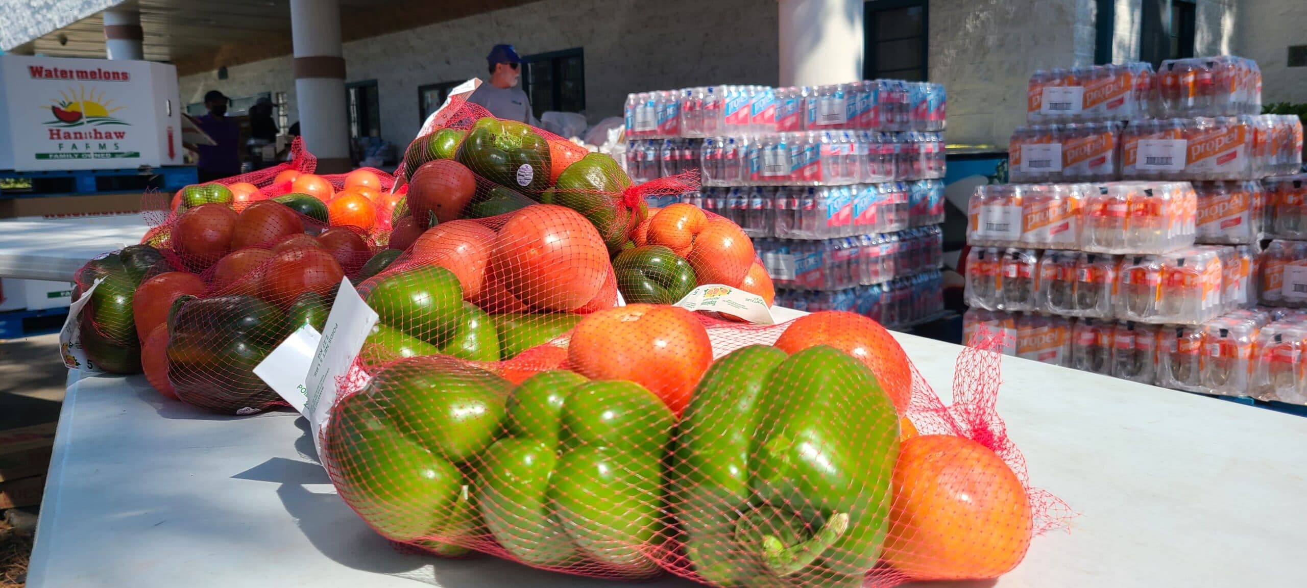 Items, including green bell peppers, tomatoes, and beverages, displayed at GYAC's Mobile Food Pantry